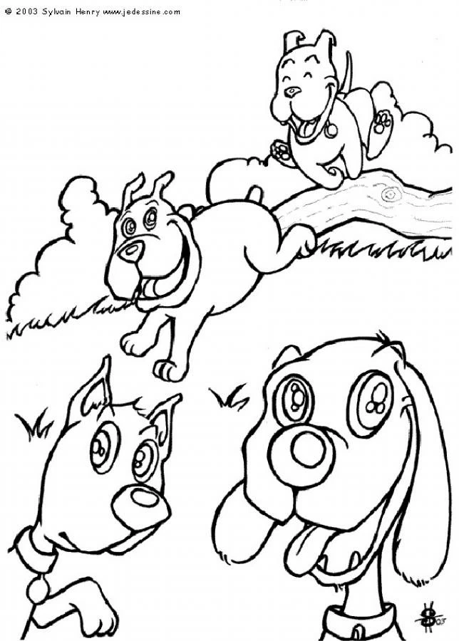 Desenho gratuito Campo #165486 da colecao Natureza e Estações para imprimir