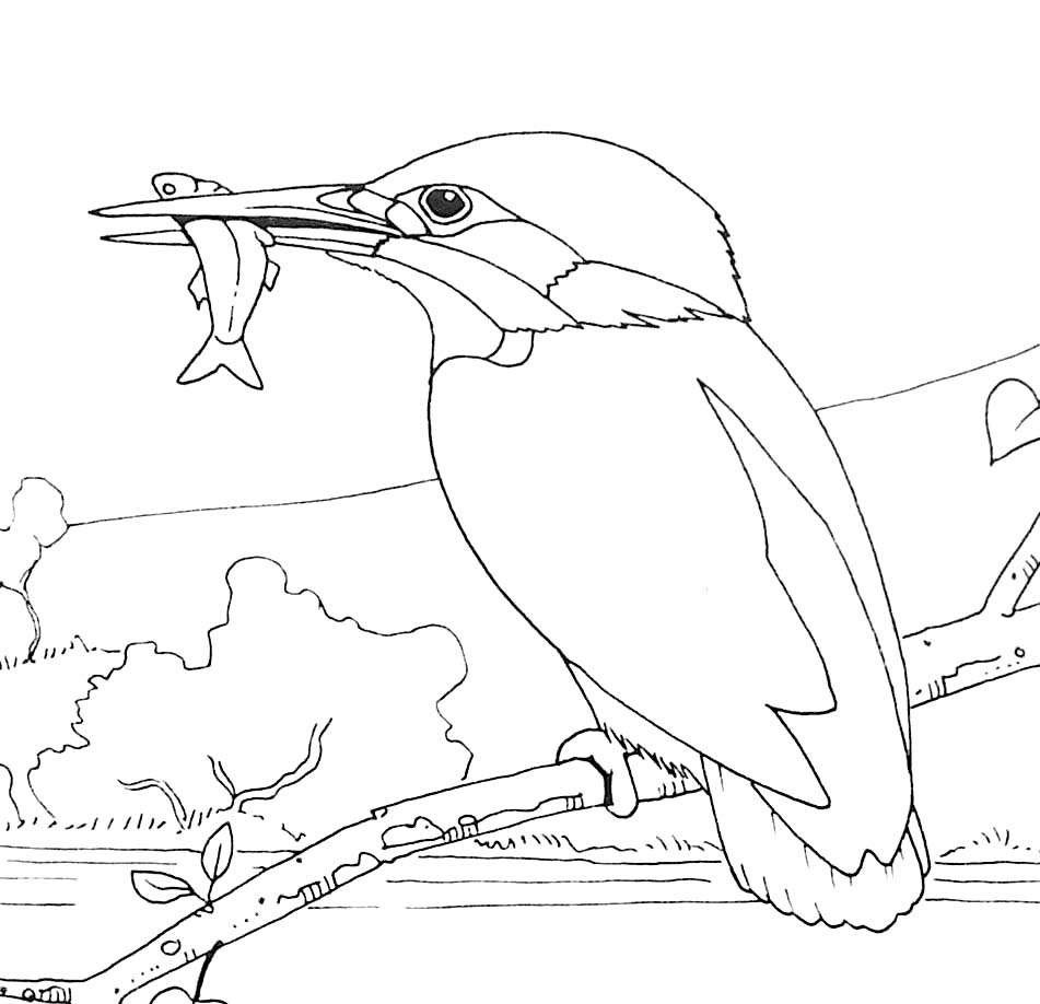 Desenho gratuito Campo #165647 da colecao Natureza e Estações para imprimir