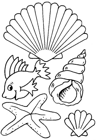Página para colorir: Concha (Natureza e Estações) #163138 - Páginas para Colorir Imprimíveis Gratuitamente