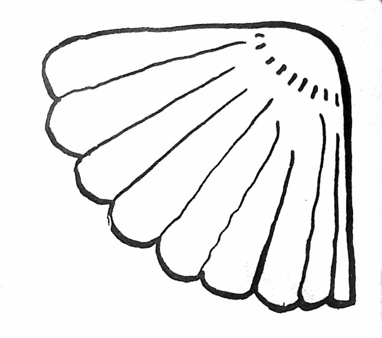 Página para colorir: Concha (Natureza e Estações) #163147 - Páginas para Colorir Imprimíveis Gratuitamente