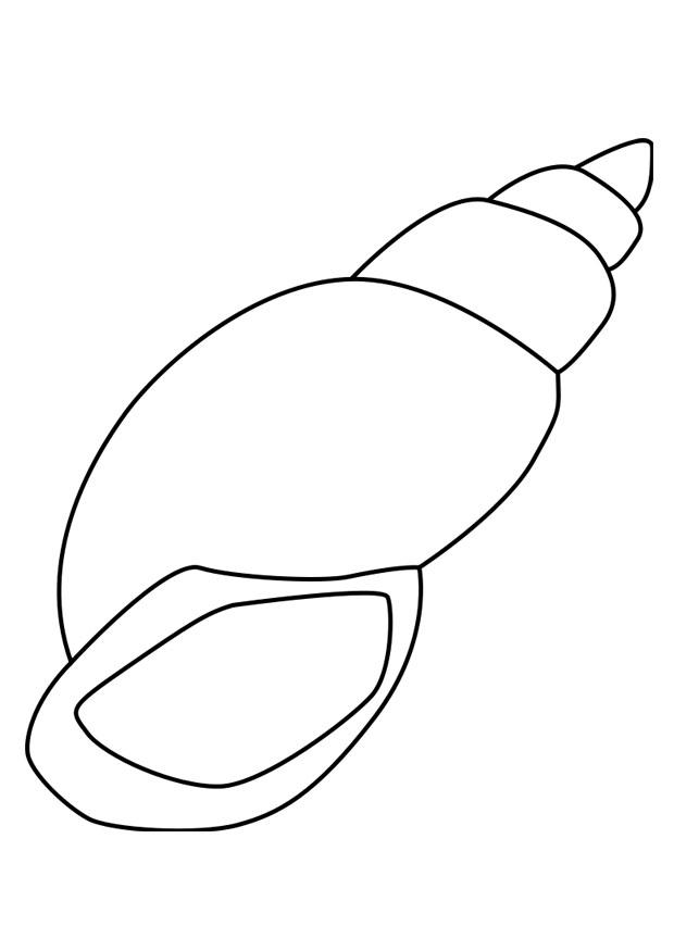 Página para colorir: Concha (Natureza e Estações) #163153 - Páginas para Colorir Imprimíveis Gratuitamente