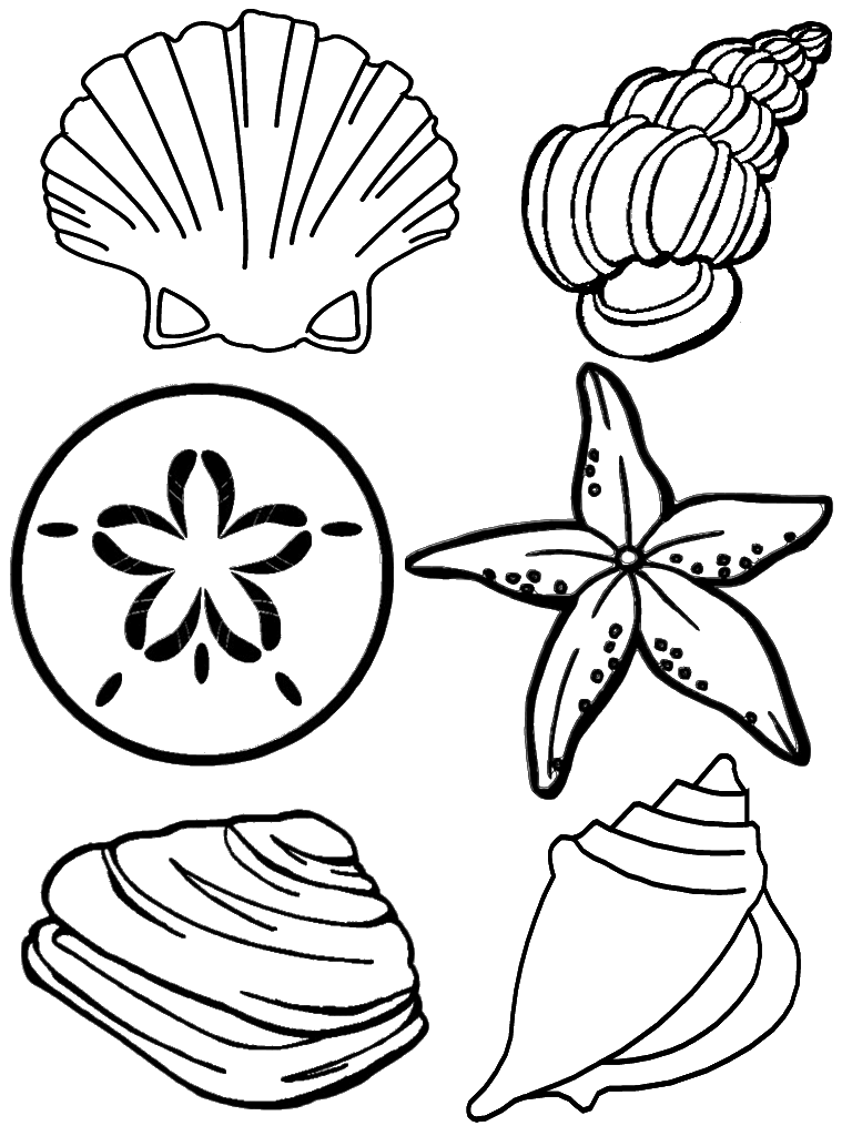 Página para colorir: Concha (Natureza e Estações) #163170 - Páginas para Colorir Imprimíveis Gratuitamente