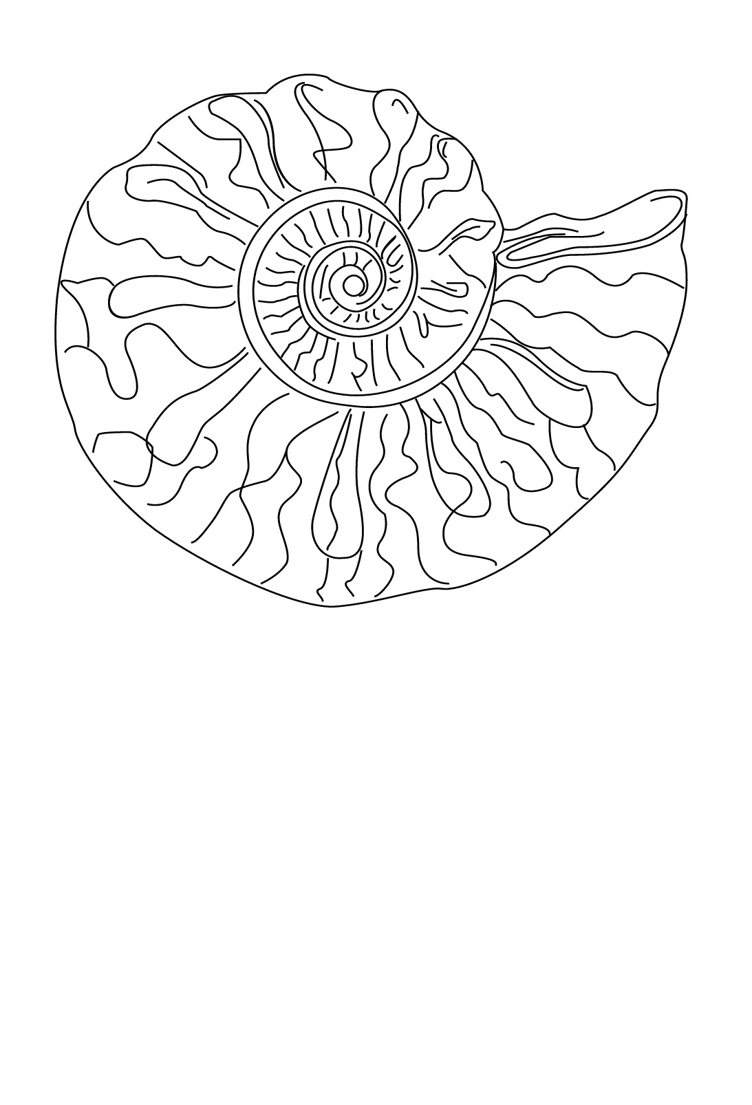 Página para colorir: Concha (Natureza e Estações) #163204 - Páginas para Colorir Imprimíveis Gratuitamente
