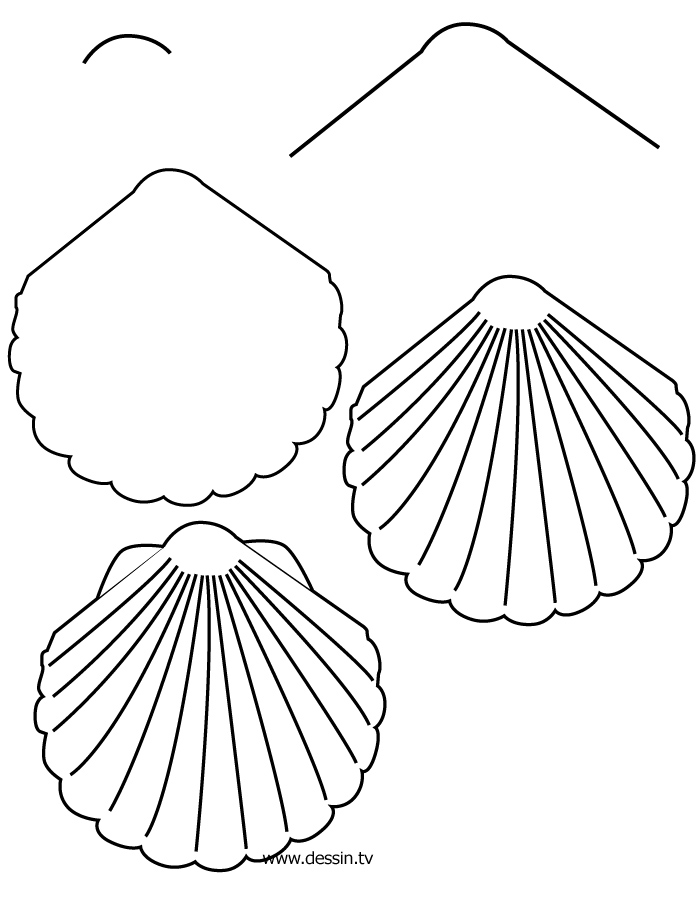 Página para colorir: Concha (Natureza e Estações) #163239 - Páginas para Colorir Imprimíveis Gratuitamente