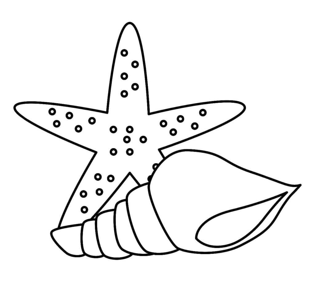 Desenho gratuito Concha #185442 da colecao Natureza e Estações para imprimir
