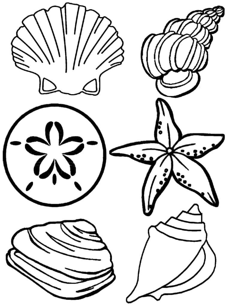 Desenho gratuito Concha #185449 da colecao Natureza e Estações para imprimir
