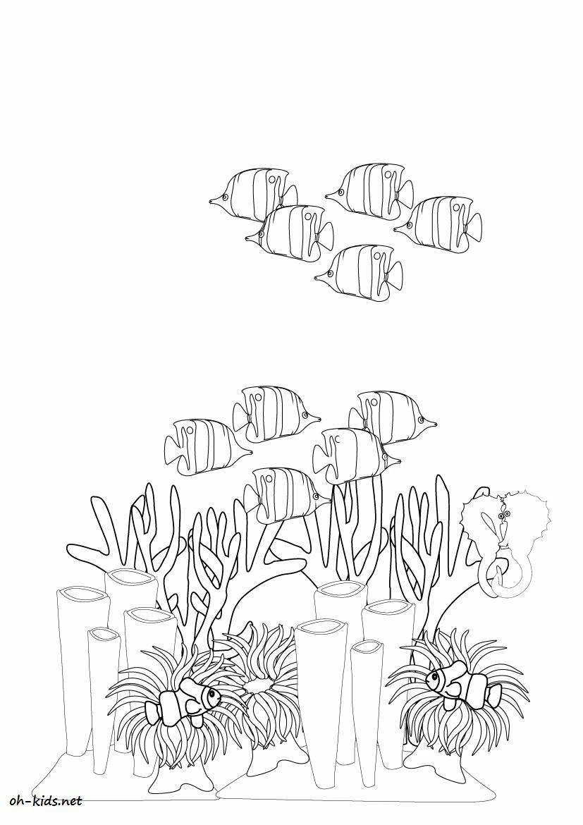 Desenho gratuito Coral #162784 da colecao Natureza e Estações para imprimir