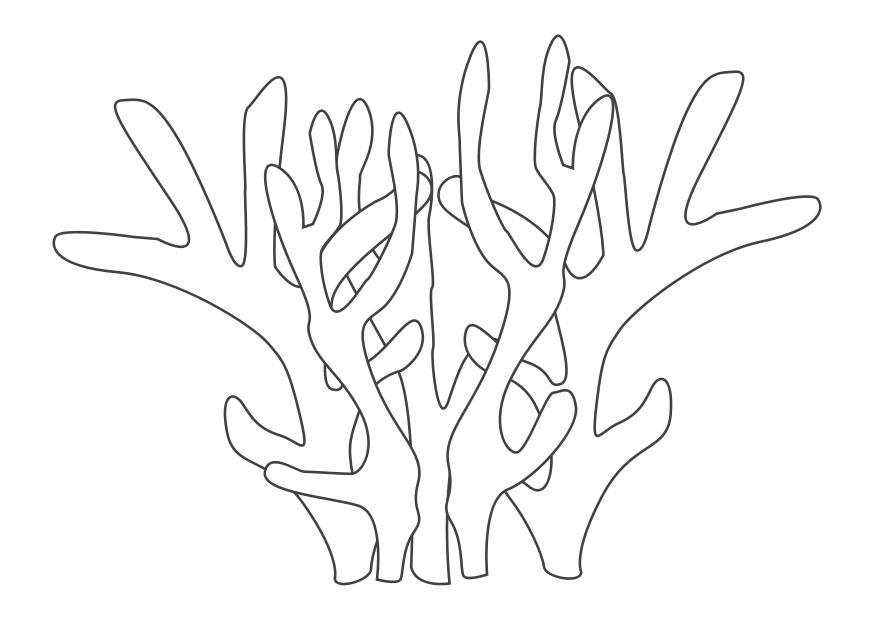 Linda página de Coral #162893 para colorir, da coleção Natureza e Estações, baixe grátis Linda página de Coral #162893 para colorir, da coleção Natureza e Estações, baixe grátis