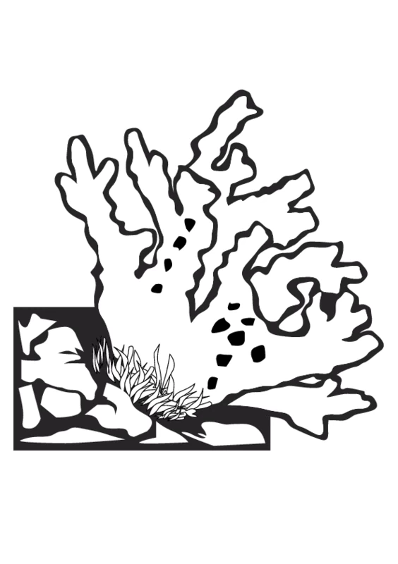 Desenho gratuito Coral #162938 da colecao Natureza e Estações para imprimir