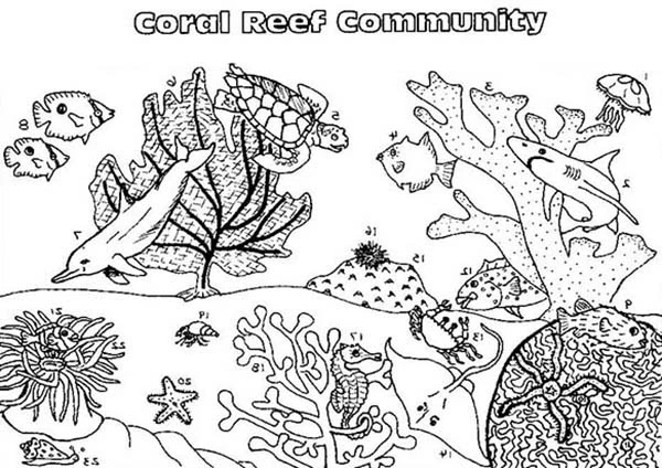 Desenho gratuito Coral #163000 da colecao Natureza e Estações para imprimir