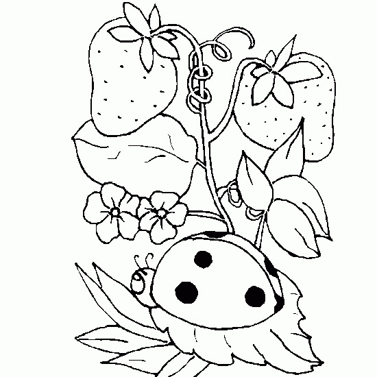 Desenho gratuito Estação da Primavera #164894 da colecao Natureza e Estações para imprimir