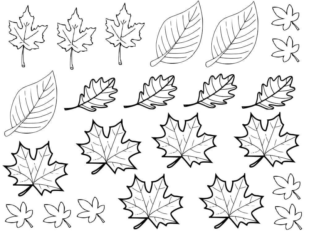 Ilustração de Estação do Outono #176756 para colorir, parte da coleção Natureza e Estações Ilustração de Estação do Outono #176756 para colorir, parte da coleção Natureza e Estações