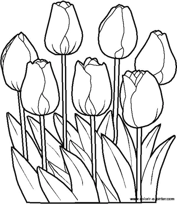 Desenho gratuito Flores #154985 da colecao Natureza e Estações para imprimir