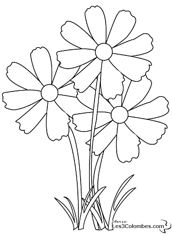 Desenho gratuito Flores #155003 da colecao Natureza e Estações para imprimir