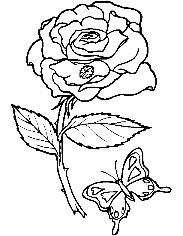 Desenho gratuito Flores #155018 da colecao Natureza e Estações para imprimir