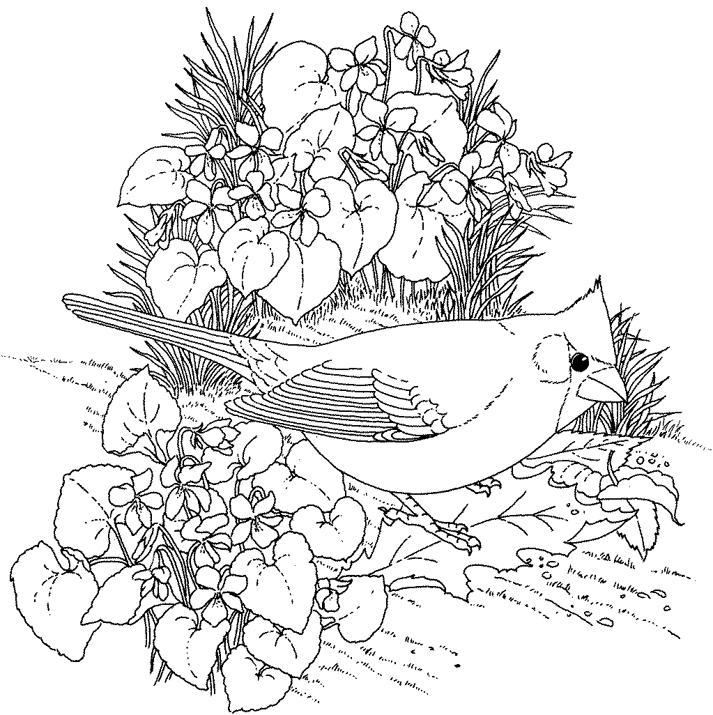 Desenho gratuito Flores #155090 da colecao Natureza e Estações para imprimir