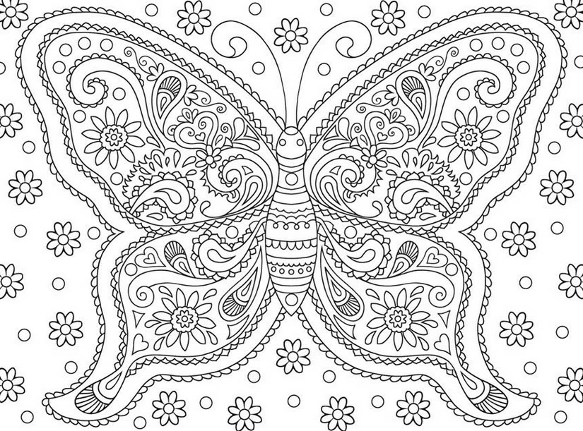 Desenho de Borboleta ornamentada com motivos florais para colorir