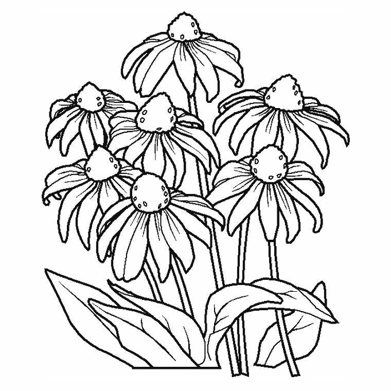 Desenho gratuito Flores #155142 da colecao Natureza e Estações para imprimir