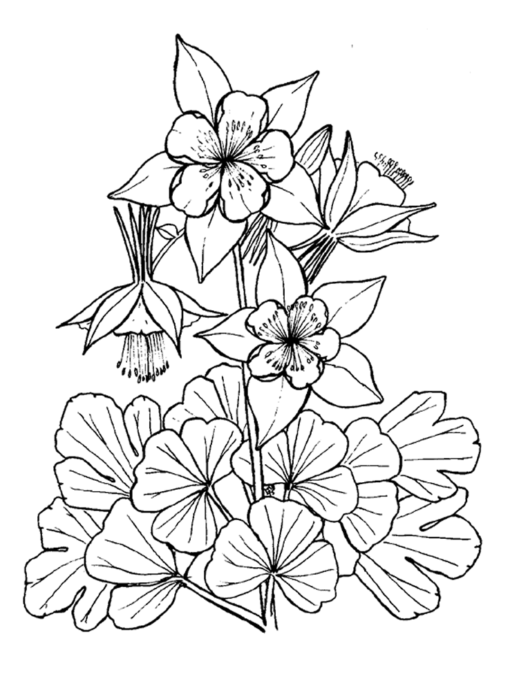 Desenho gratuito Flores #155144 da colecao Natureza e Estações para imprimir