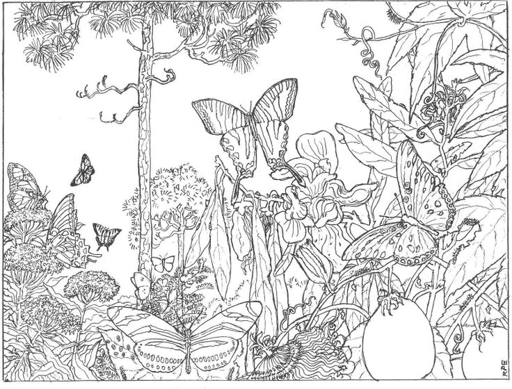 Desenho gratuito Floresta #157026 da colecao Natureza e Estações para imprimir Desenho gratuito Floresta #157026 da colecao Natureza e Estações para imprimir