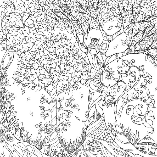 Desenho gratuito Floresta #157073 da colecao Natureza e Estações para imprimir Desenho gratuito Floresta #157073 da colecao Natureza e Estações para imprimir