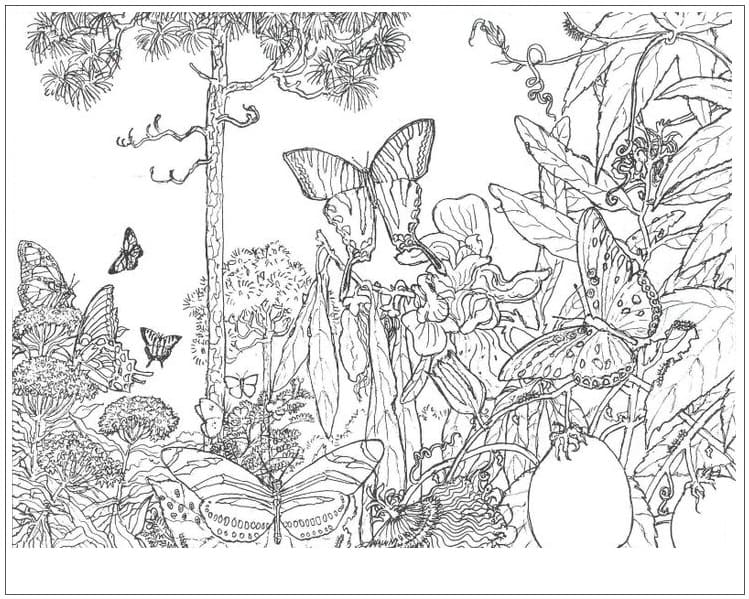 Desenho gratuito Floresta #191235 da colecao Natureza e Estações para imprimir