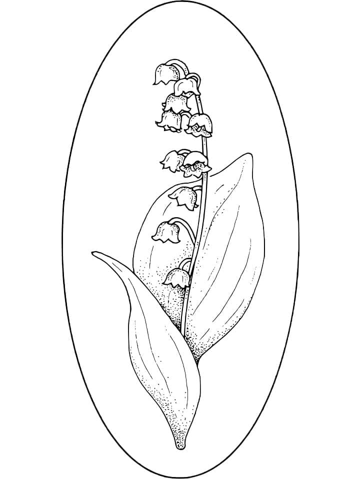 Desenho gratuito Lírio do Vale #176391 da colecao Natureza e Estações para imprimir