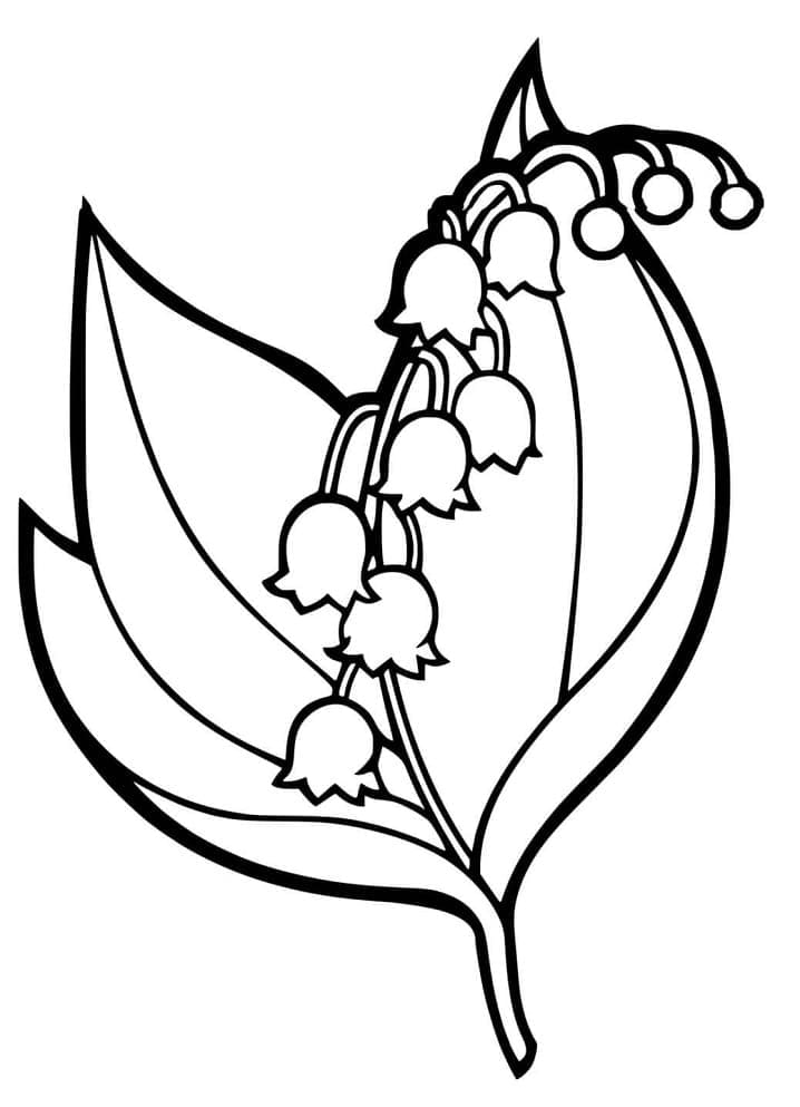 Desenho gratuito Lírio do Vale #176392 da colecao Natureza e Estações para imprimir
