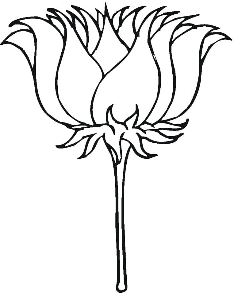 Desenho gratuito Lótus #182321 da colecao Natureza e Estações para imprimir Desenho gratuito Lótus #182321 da colecao Natureza e Estações para imprimir