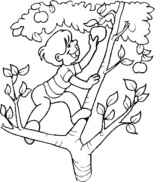 Página para colorir: Macieira (Natureza e Estações) #163444 - Páginas para Colorir Imprimíveis Gratuitamente