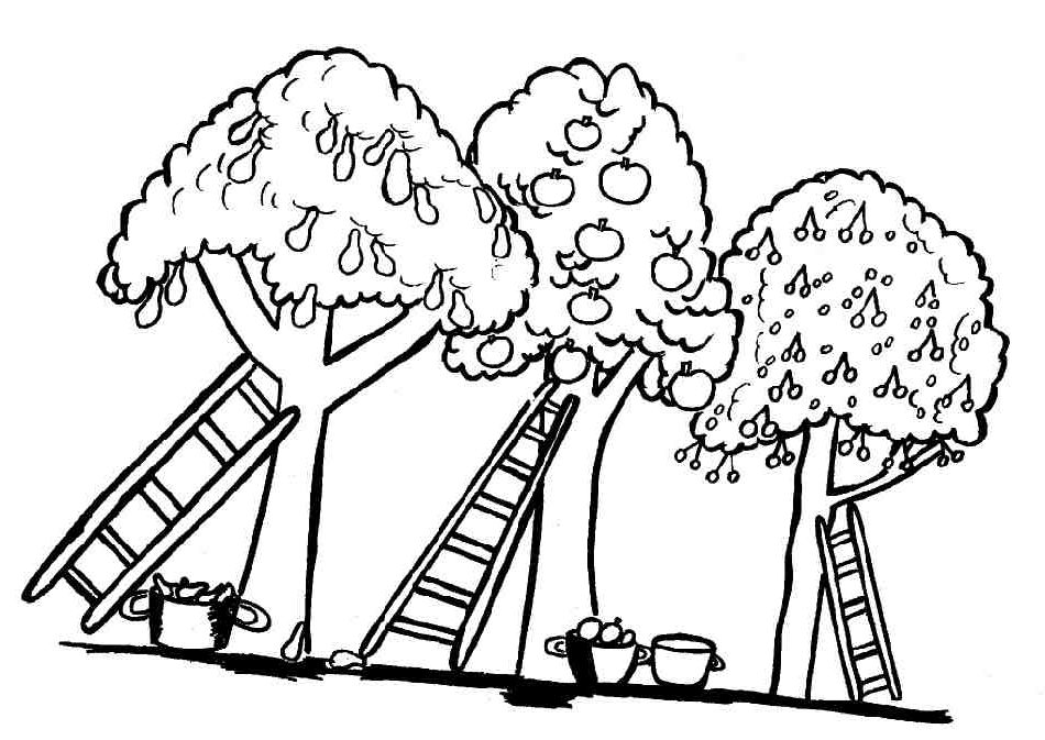 Página para colorir: Macieira (Natureza e Estações) #163463 - Páginas para Colorir Imprimíveis Gratuitamente