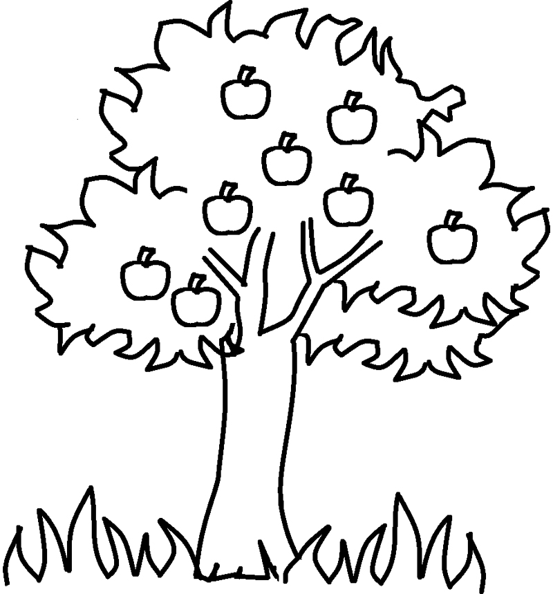 Página para colorir: Macieira (Natureza e Estações) #163738 - Páginas para Colorir Imprimíveis Gratuitamente