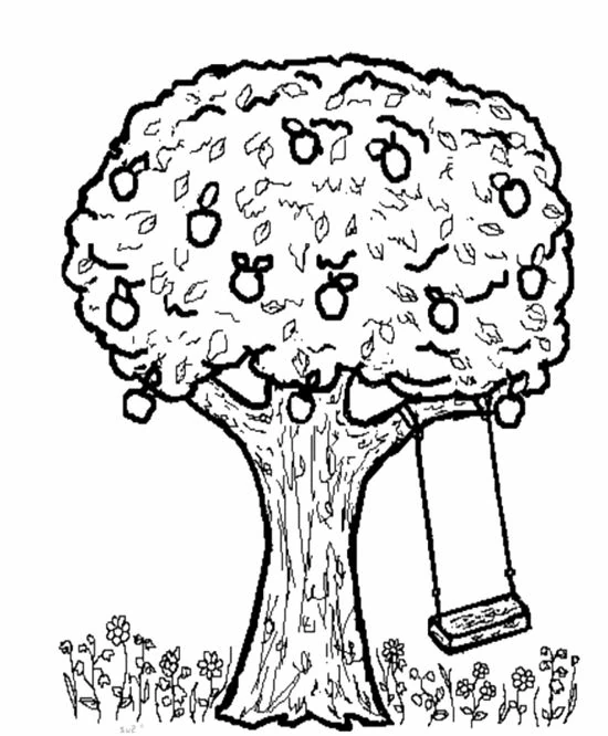 Desenho gratuito Macieira #163803 da colecao Natureza e Estações para imprimir