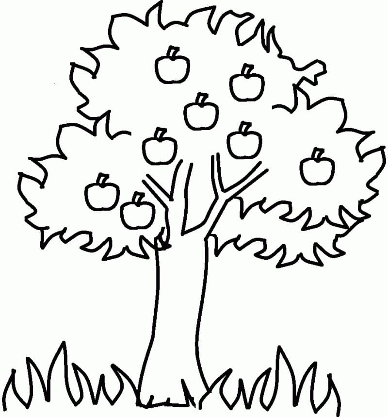 Desenho gratuito Macieira #174059 da colecao Natureza e Estações para imprimir