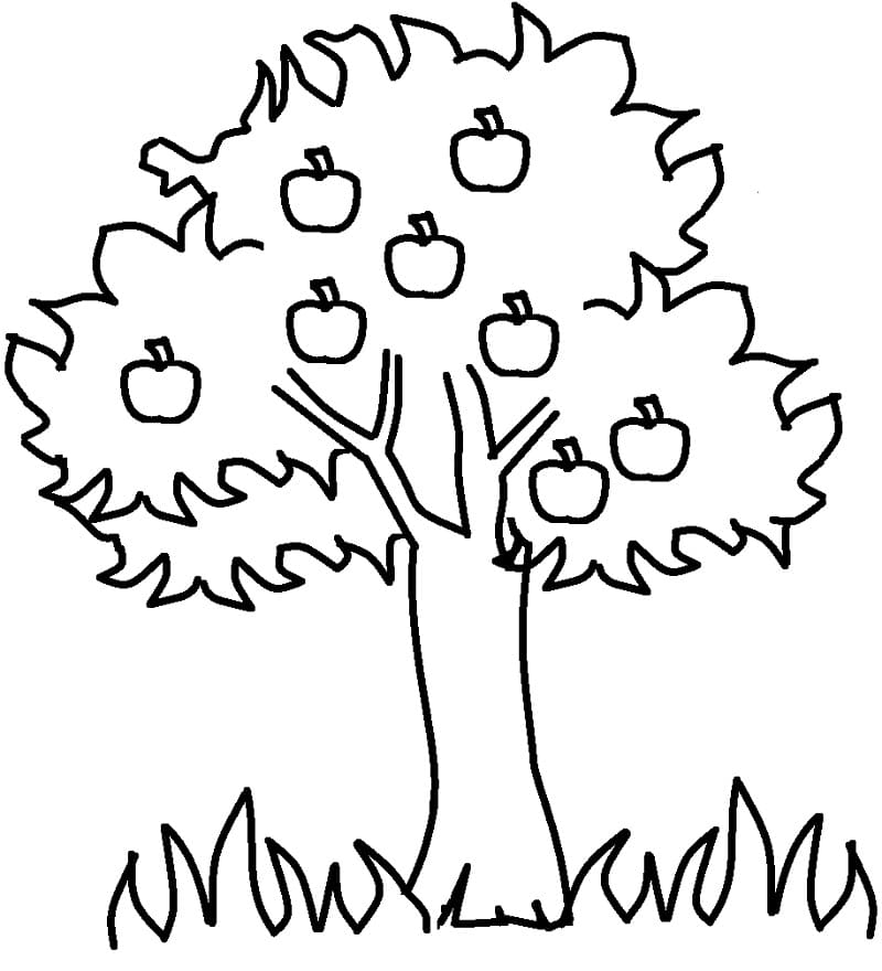 Desenho gratuito Macieira #174061 da colecao Natureza e Estações para imprimir