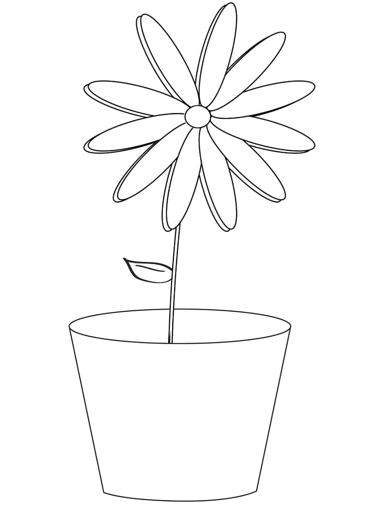 Desenho gratuito Margarida #176553 da colecao Natureza e Estações para imprimir Desenho gratuito Margarida #176553 da colecao Natureza e Estações para imprimir