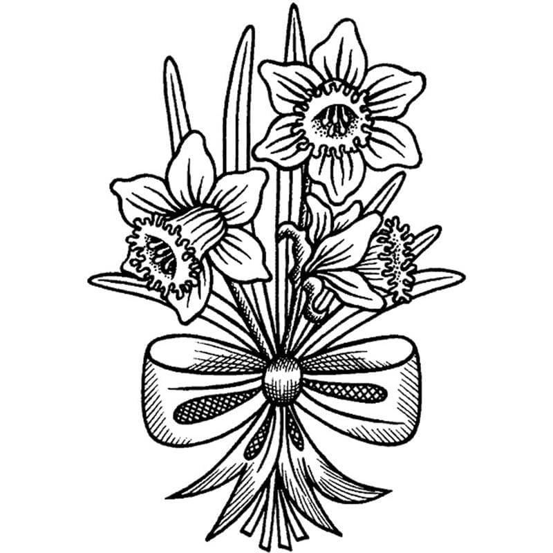 Desenho gratuito Narciso #189957 da colecao Natureza e Estações para imprimir Desenho gratuito Narciso #189957 da colecao Natureza e Estações para imprimir