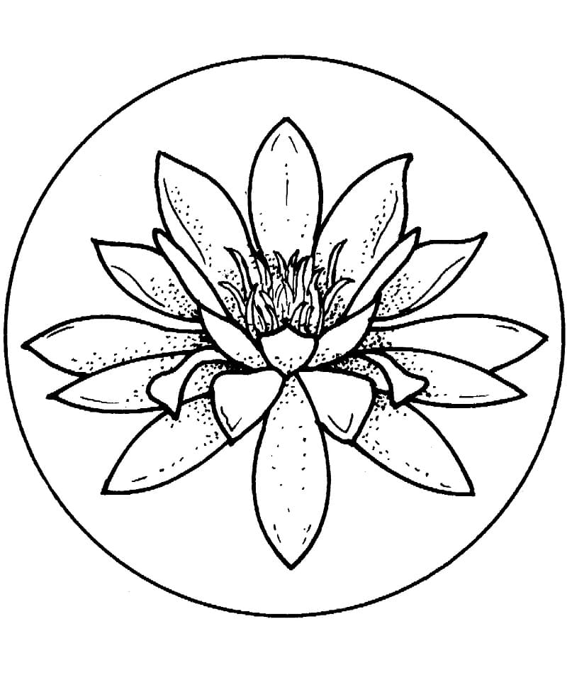 Desenho gratuito nenúfar #221876 da colecao Natureza e Estações para imprimir
