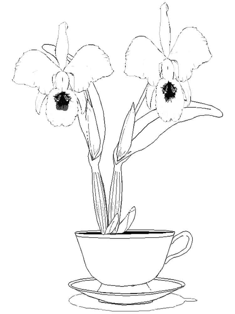 Página para colorir: Orquídea (Natureza e Estações) #176384 - Páginas para Colorir Imprimíveis Gratuitamente