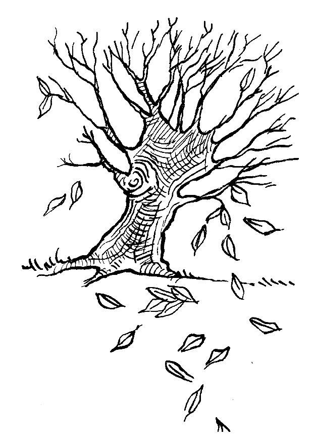 Desenho gratuito Outono #164119 da colecao Natureza e Estações para imprimir
