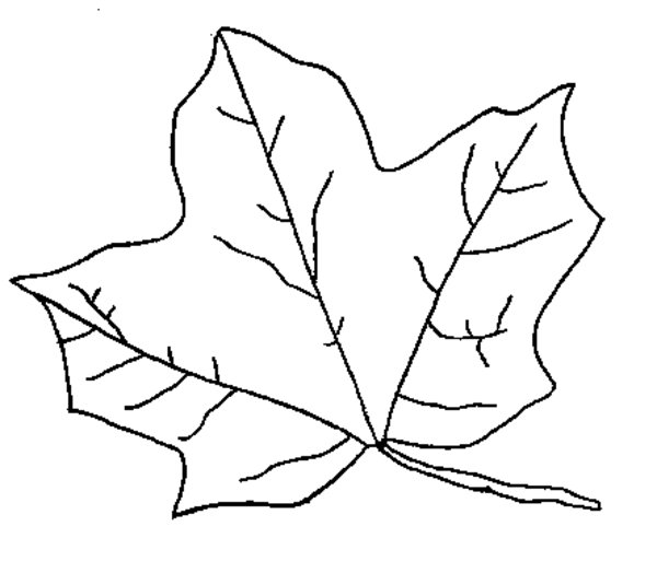 Desenho gratuito Outono #164173 da colecao Natureza e Estações para imprimir