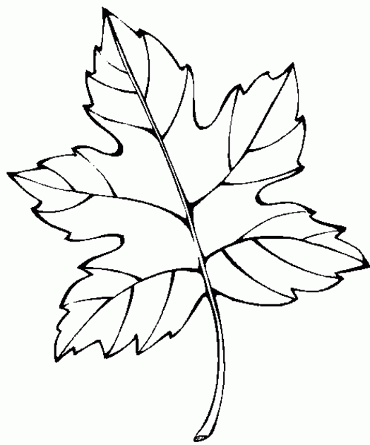 Desenho gratuito Outono #164180 da colecao Natureza e Estações para imprimir