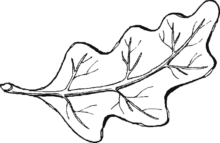 Desenho gratuito Outono #164299 da colecao Natureza e Estações para imprimir