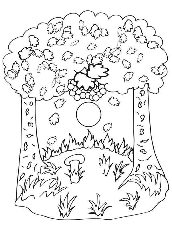 Desenho gratuito Outono #164306 da colecao Natureza e Estações para imprimir