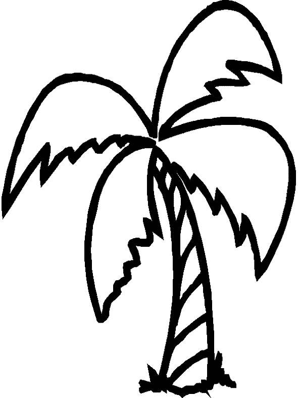 Desenho gratuito Palmeira #161128 da colecao Natureza e Estações para imprimir