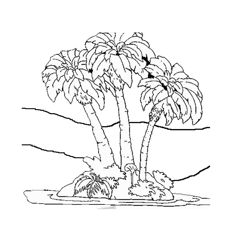 Desenho gratuito Palmeira #161153 da colecao Natureza e Estações para imprimir