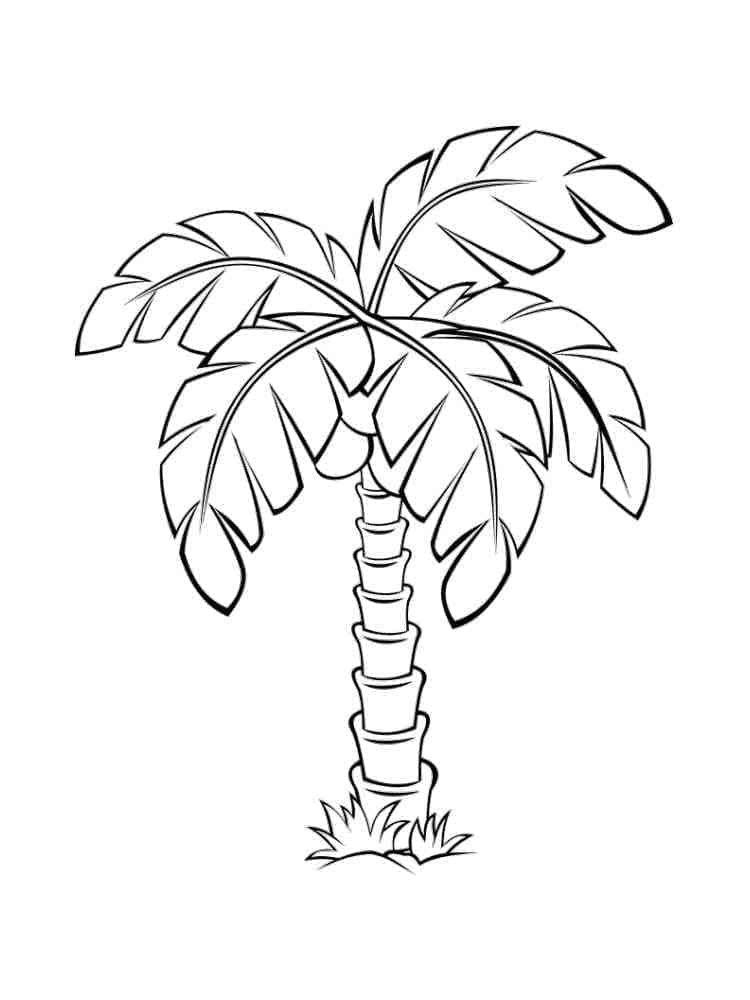 Desenho gratuito Palmeira #200688 da colecao Natureza e Estações para imprimir
