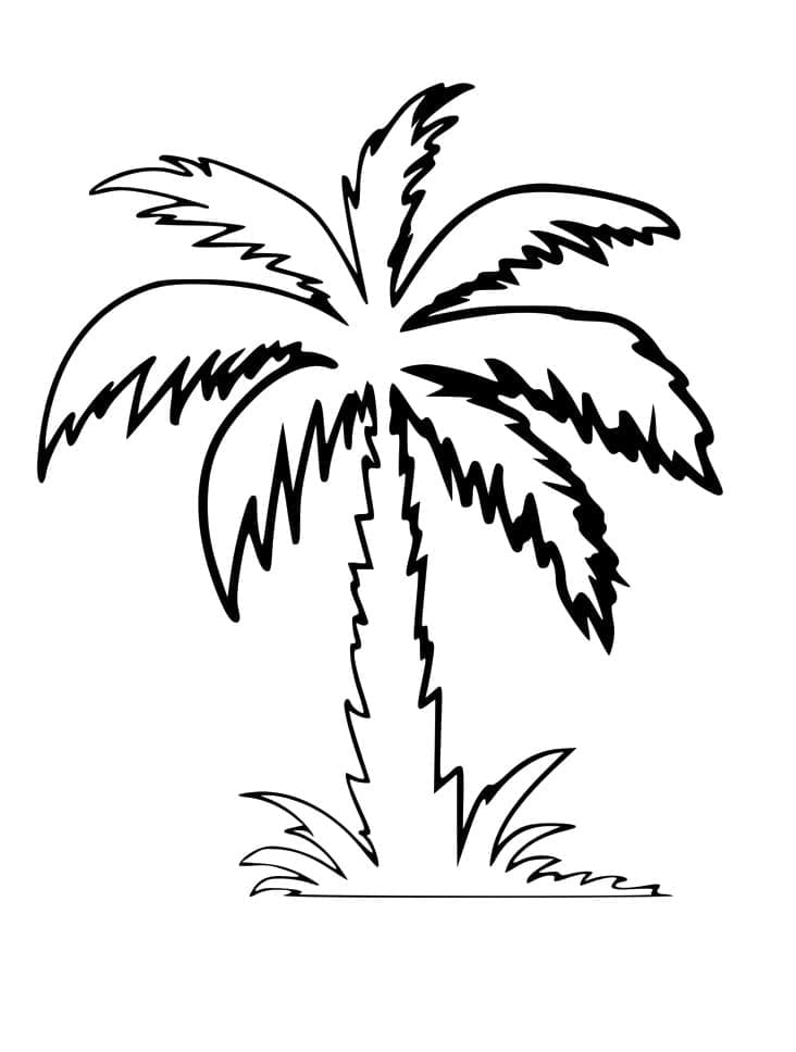 Desenho gratuito Palmeira #200689 da colecao Natureza e Estações para imprimir