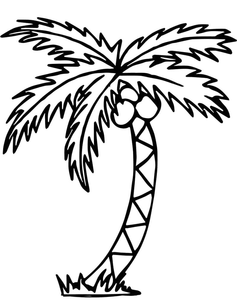 Desenho gratuito Palmeira #200705 da colecao Natureza e Estações para imprimir Desenho gratuito Palmeira #200705 da colecao Natureza e Estações para imprimir