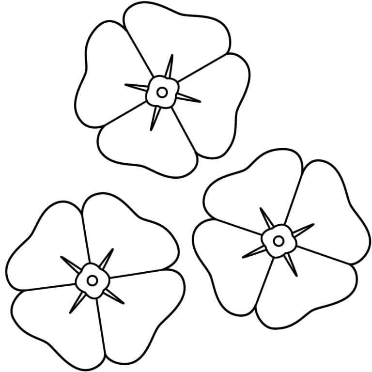 Desenho gratuito Papoula #182365 da colecao Natureza e Estações para imprimir Desenho gratuito Papoula #182365 da colecao Natureza e Estações para imprimir